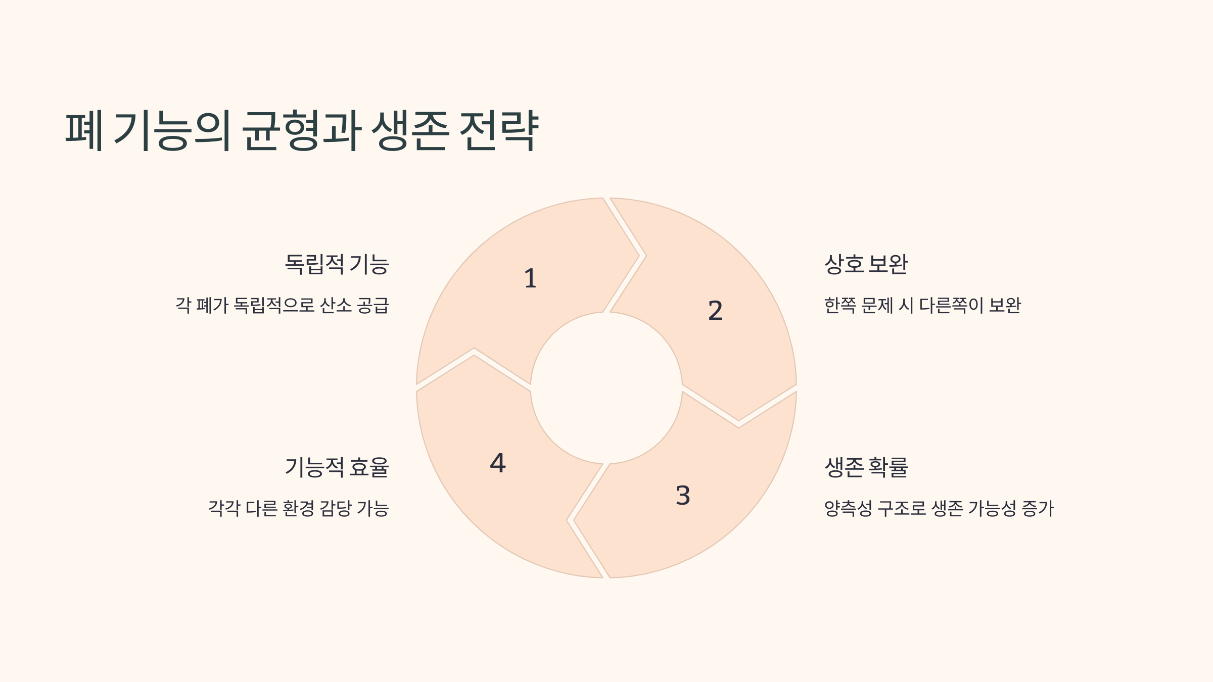 폐 기능의 균형과 생존 전략