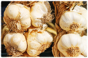 마늘 효능10가지 이런 효과까지 있다고?