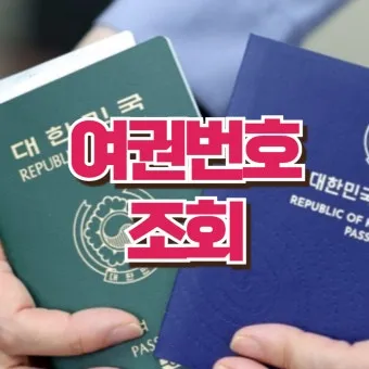 여권번호 조회 바로가기 완벽 여행 서류_15