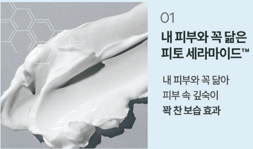 올리브영 세일 12월 할인품목