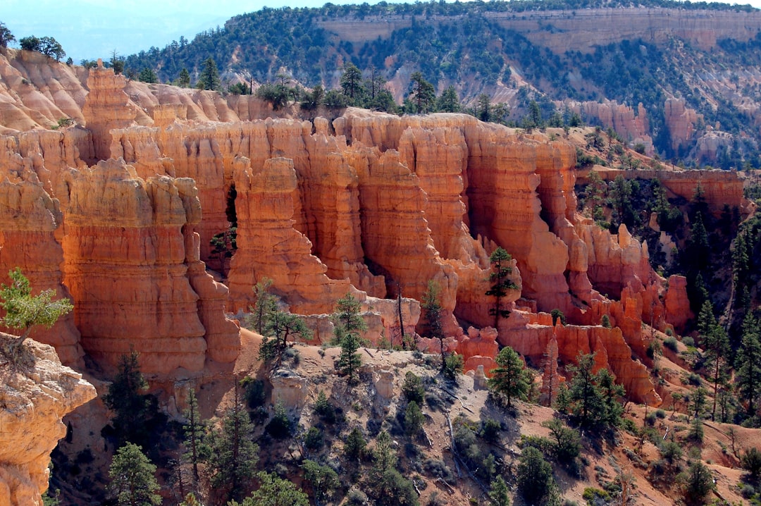 Cliff