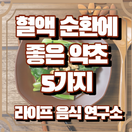 혈액순환에 좋은 약초 5가지