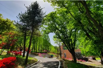장령산 자연휴양림_7