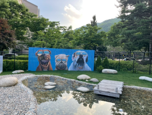 강아지 동반 여행지 추천