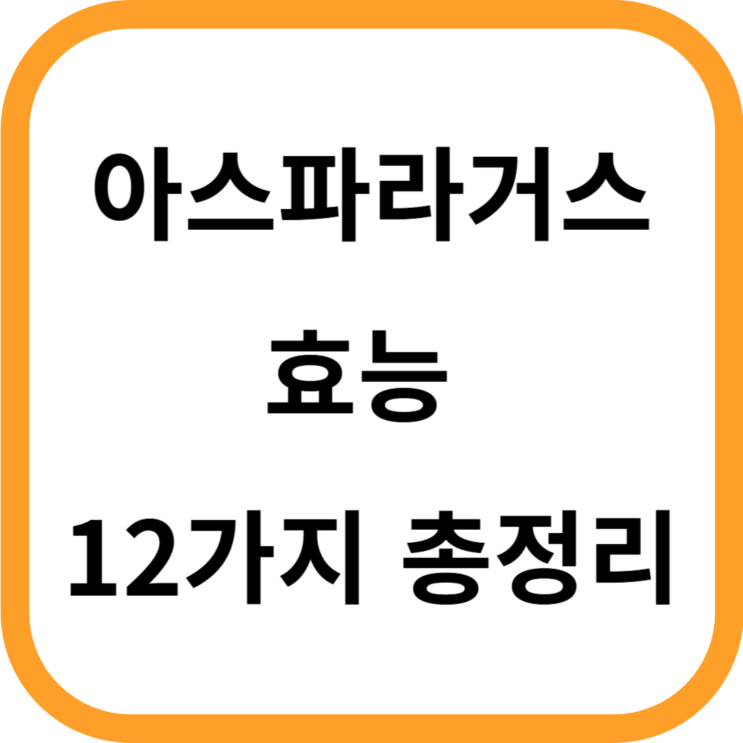 아스파라거스 효능