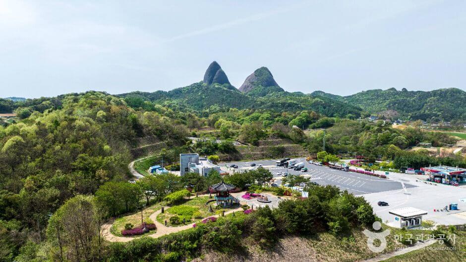 숲길 걷기 좋은 여행지 TOP 5 추천