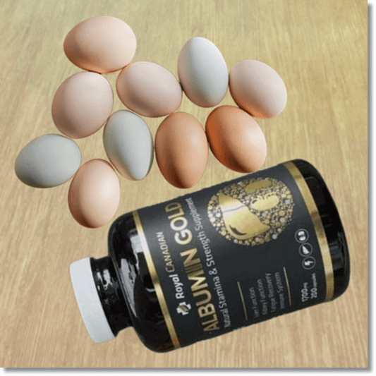 알부민 효능 및 기능, 저알부민혈증 원인