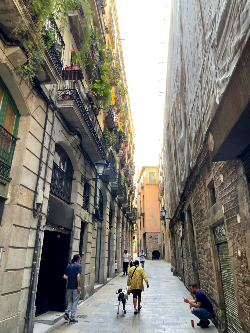 산 하우메 광장 가는길