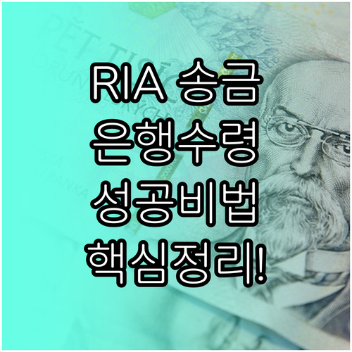 해외에서 받은 RIA 송금 국내 은행..