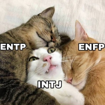 INTJ