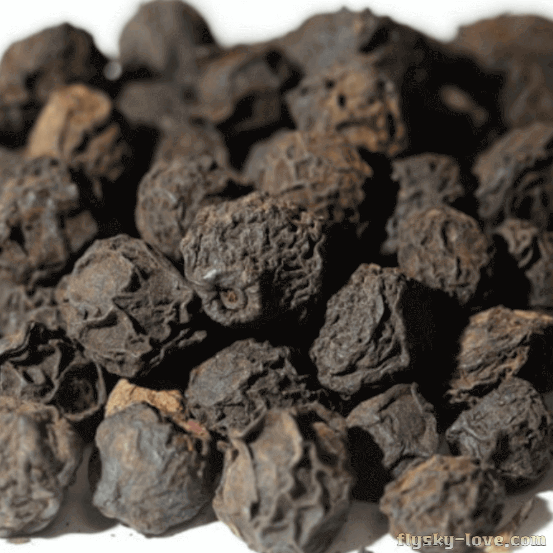 말린 매실 오매