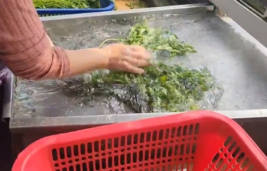 6시내고향-청도-한재미나리