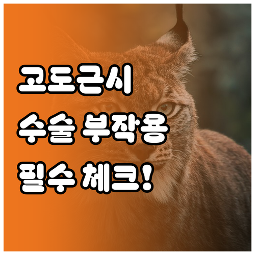 라식 라섹 고도근시 수술 부작용과 주..