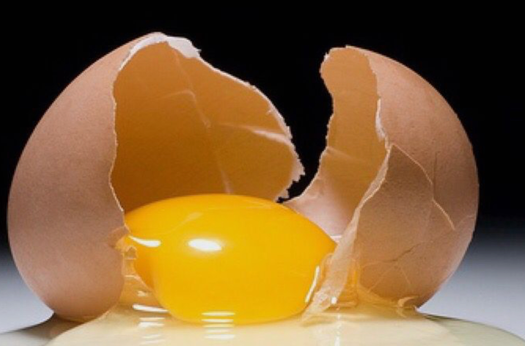 계란속 살모넬라균: 인체에 미치는 영향과 안전한 섭취를 위한 주의점과 관련된 사진