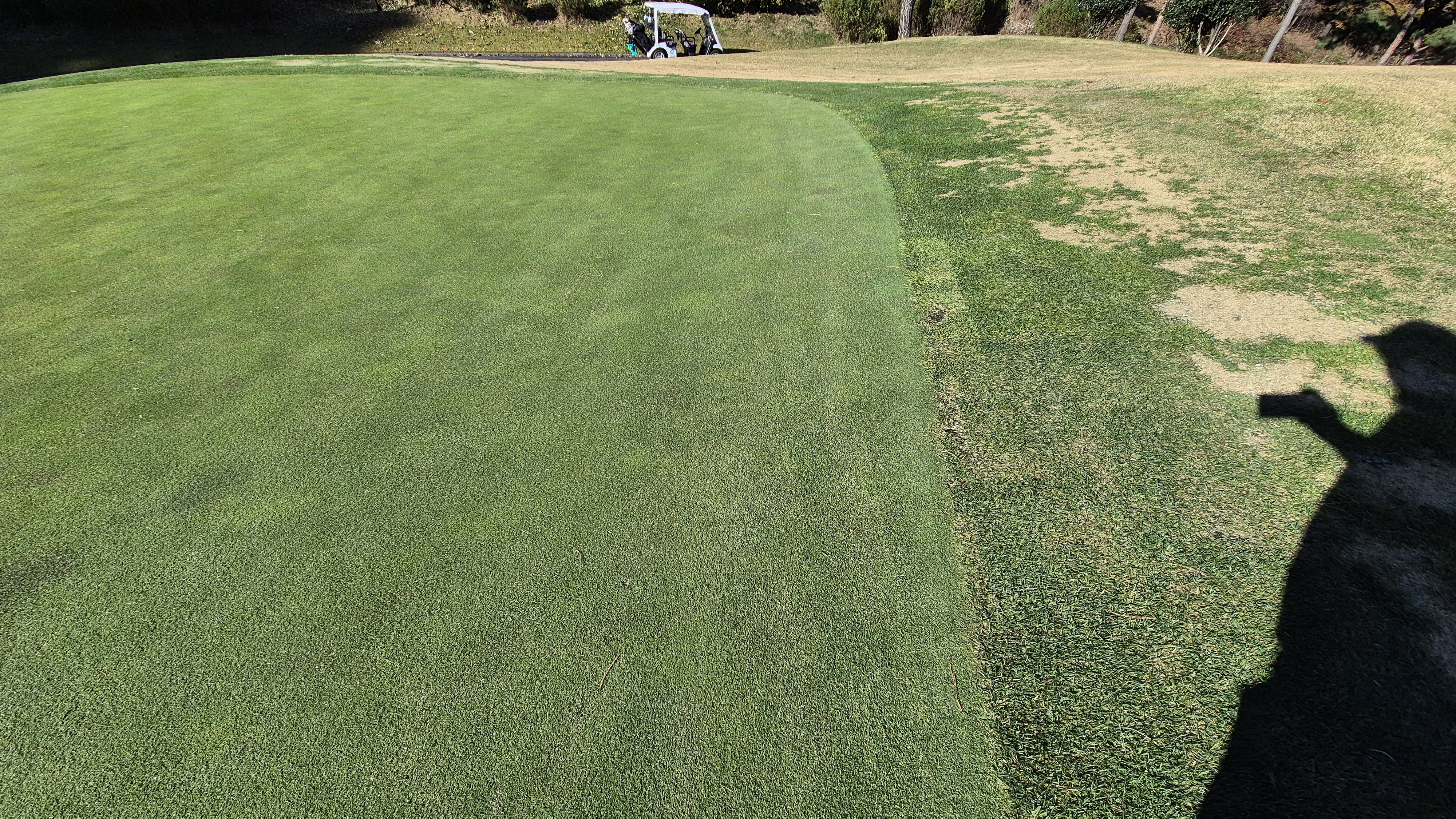 레이캐슬cc 그린관리상태