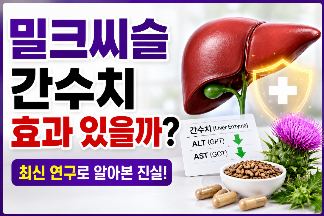 밀크씨슬 간수치 효과 있을까? 복용 전 확인해야 할 핵심 정보