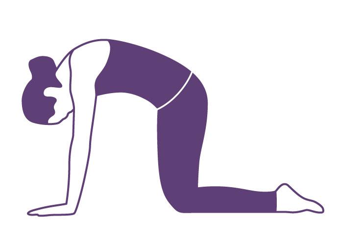 네발자세 스트레칭