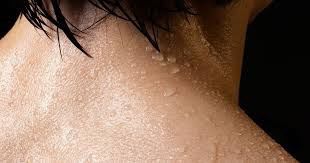 머리에서 땀이 나는 것-동의보감 頭汗