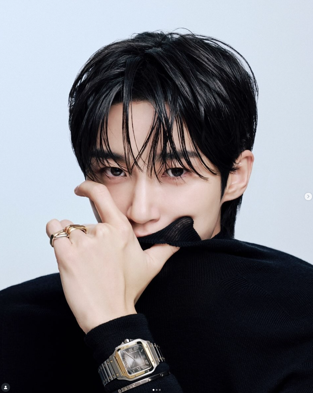 변우석 넷플릭스 나 혼자만 레벨업 주인공 역 확정