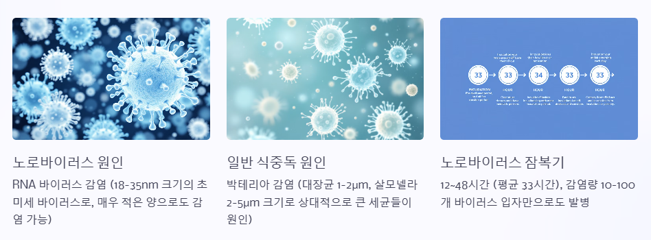 노로 바이러스와 식중독의 차이점
