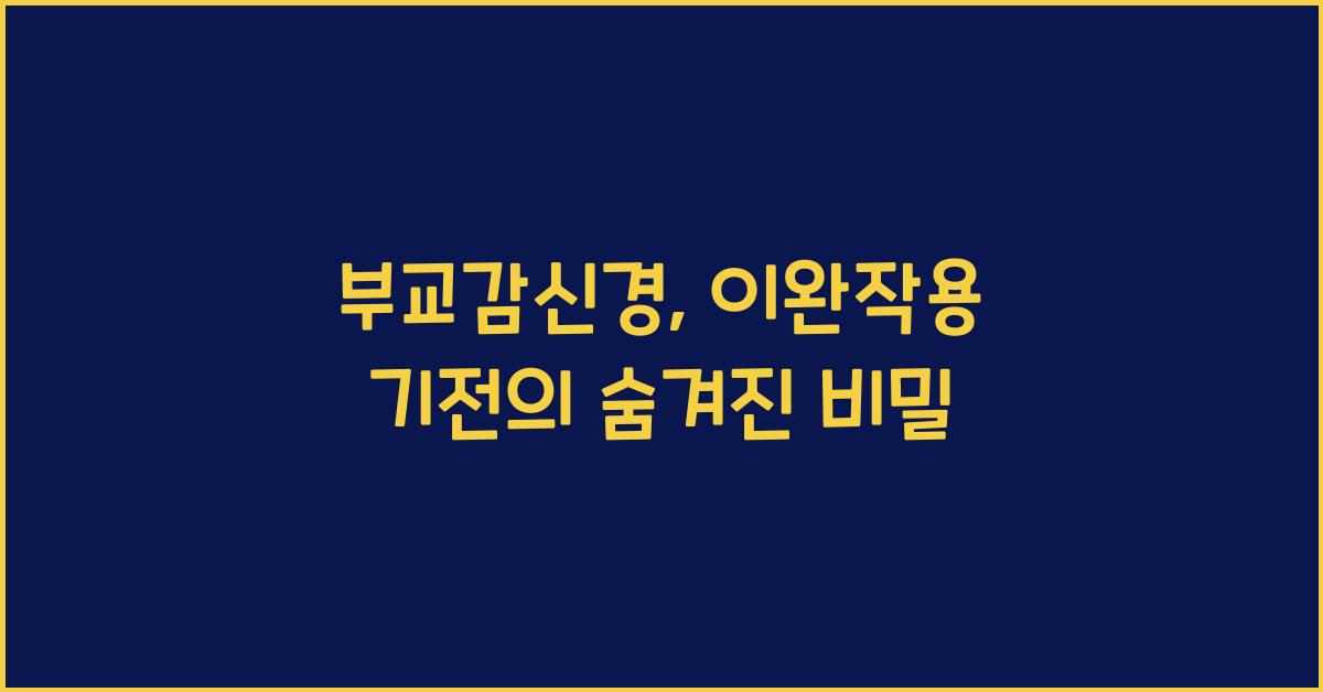 부교감신경, 이완작용 기전