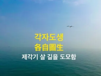각자도생 뜻 유래 한자 비슷한 말 예문 영어 속담 반대말_21