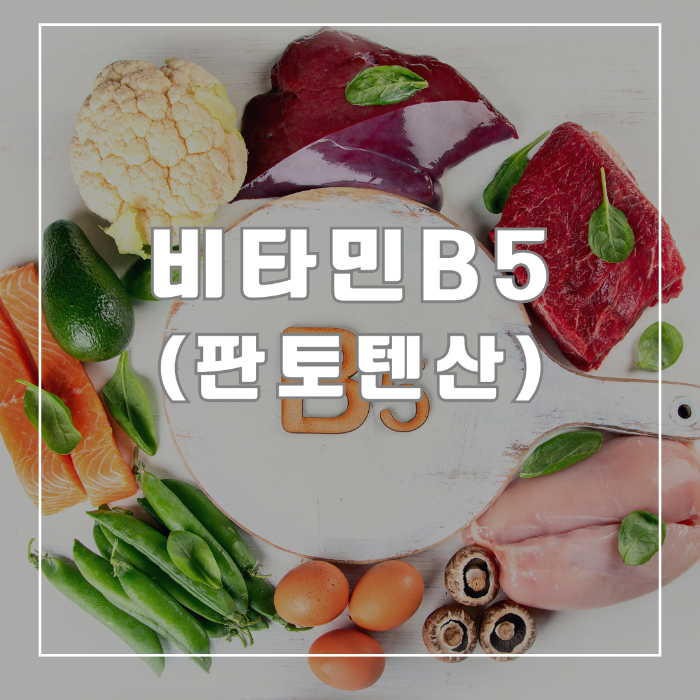 비타민 B5(판토텐산)