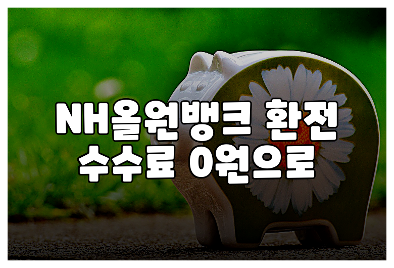 NH올원뱅크 환전 수수료 0원으로