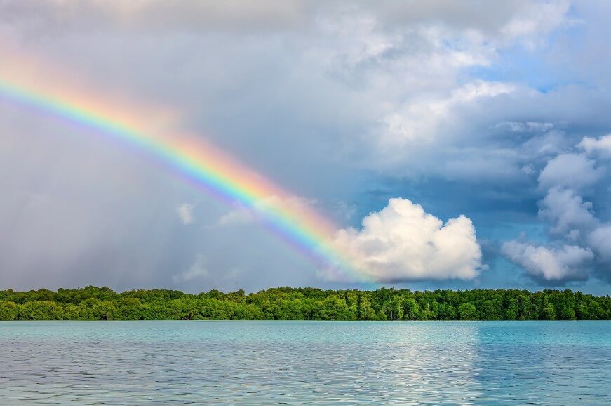 무지개가 뜬 모습