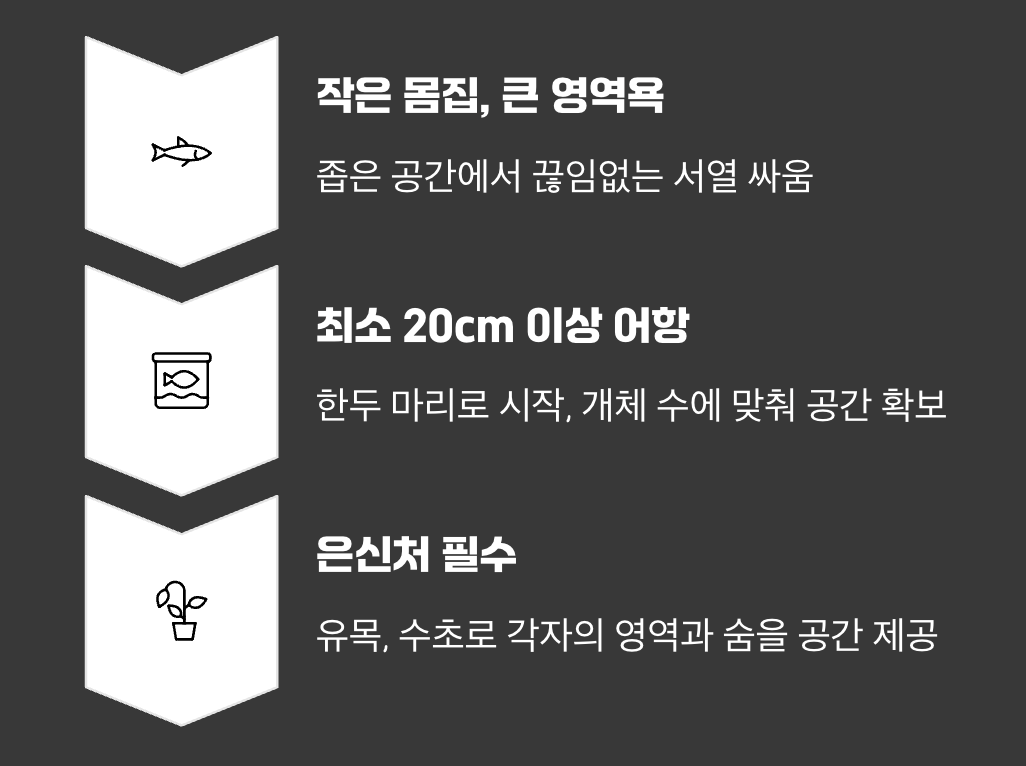 실수 3: '작으니까 작은 집'이라는 함정