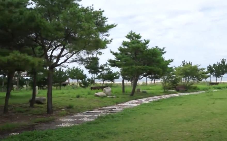 송지호오토캠핑장 산책길