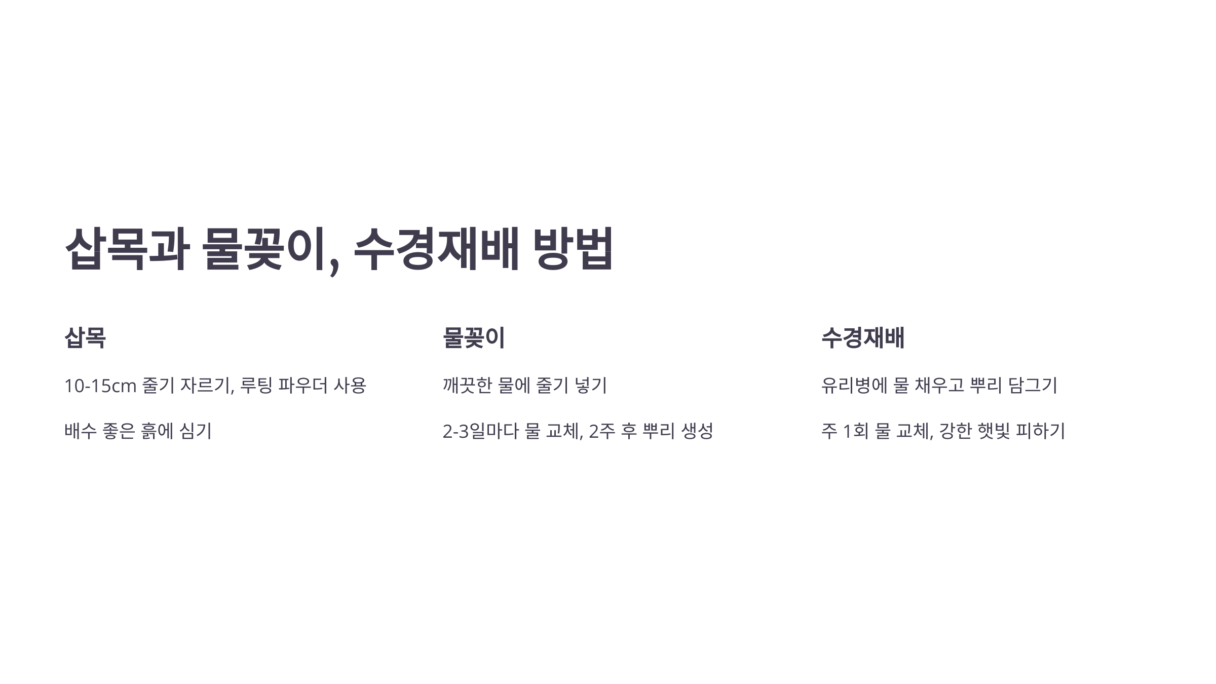 여인초 사진입니다.