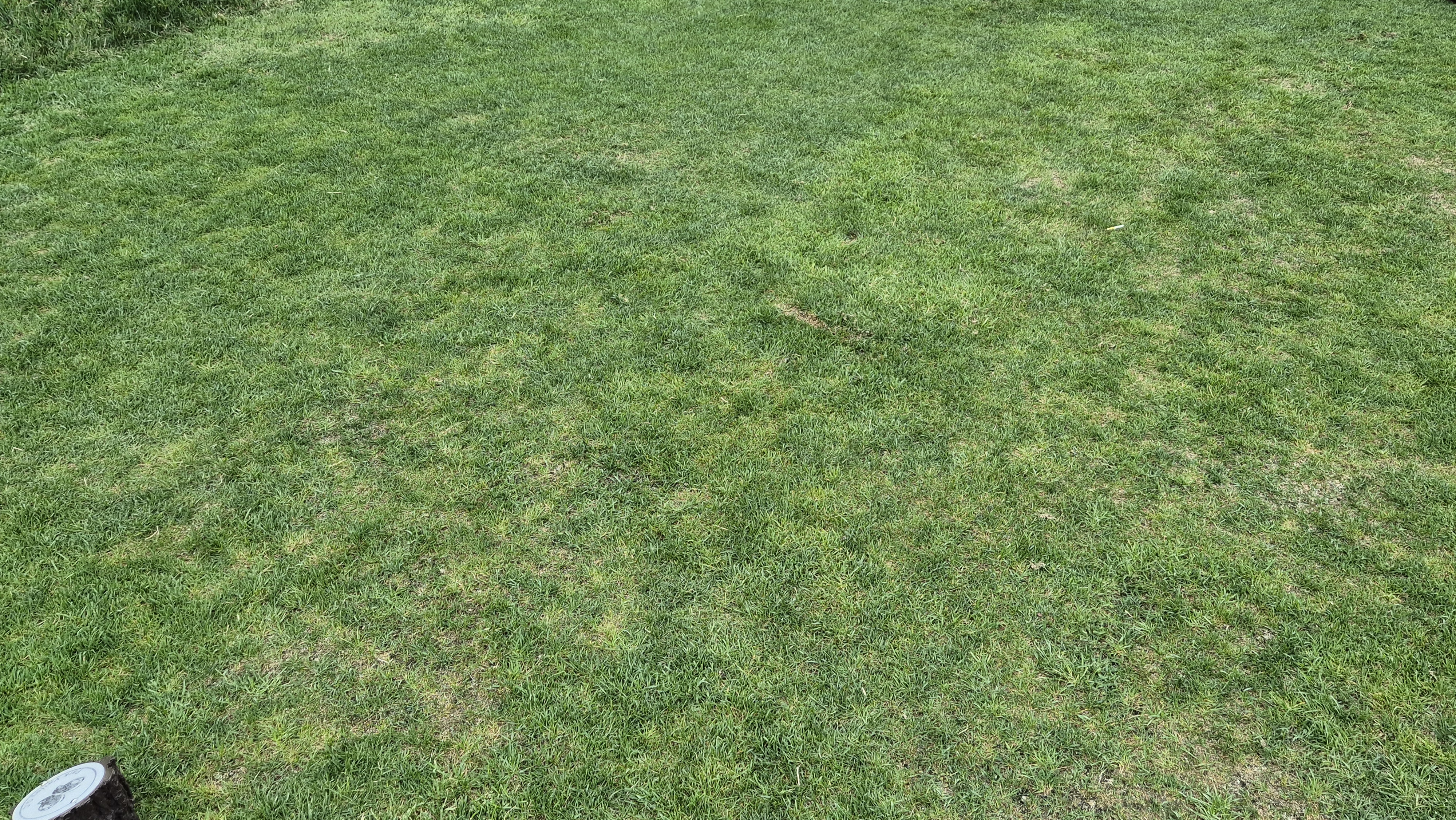 파크밸리gc 라운드 후기