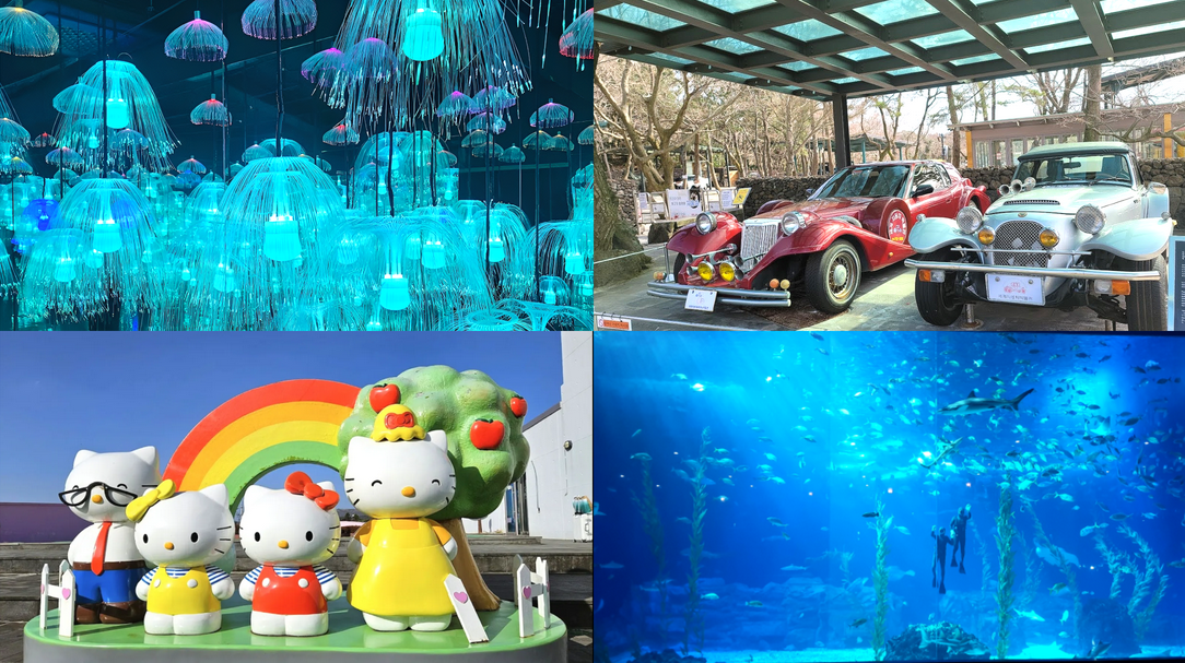 제주도 실내 가볼만한 곳 총정리! 비오는날 걱정 없이 즐기는 제주도 실내 관광지 &amp; 여행 코스