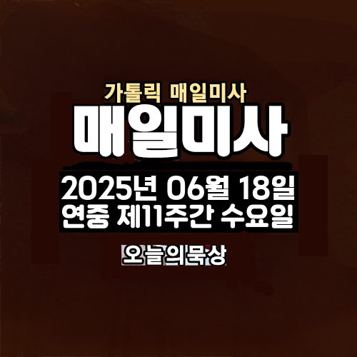 2025년 6월 18일 매일미사 연중 제11주간 수요일 오늘의 묵상