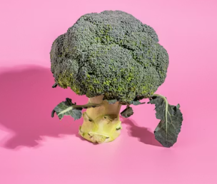 지방간에 좋은 음식 10 영양제 식단