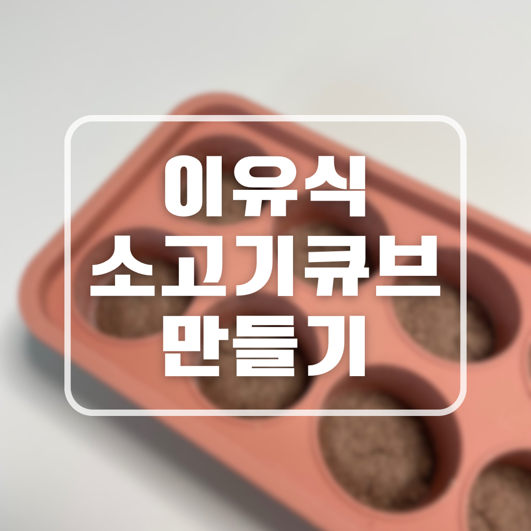 초기 이유식 소고기 큐브
