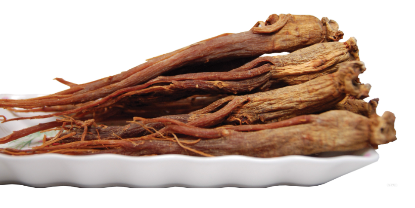 췌장암좋은음식