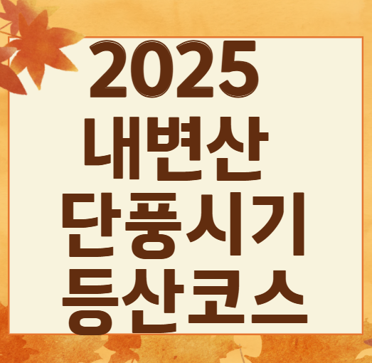 2025 내변산 단풍 절정 시기 대공개! 놓치면 후회하는 절경 + 인기 코스 BEST 3