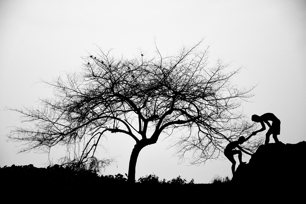 시험 면접 자격증 준비 실전 팁