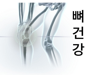 비타민D3 효능 뼈 건강에 도움