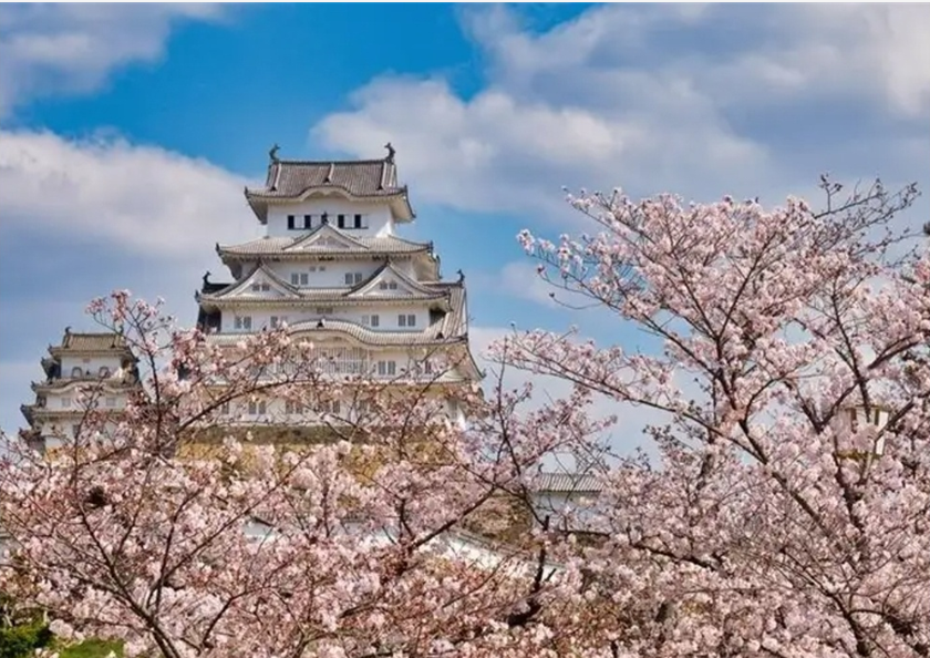 봄날의 히메지성