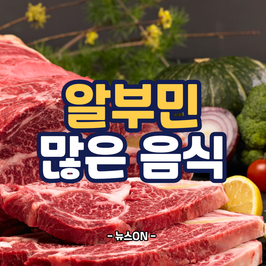 알부민 많은 음식