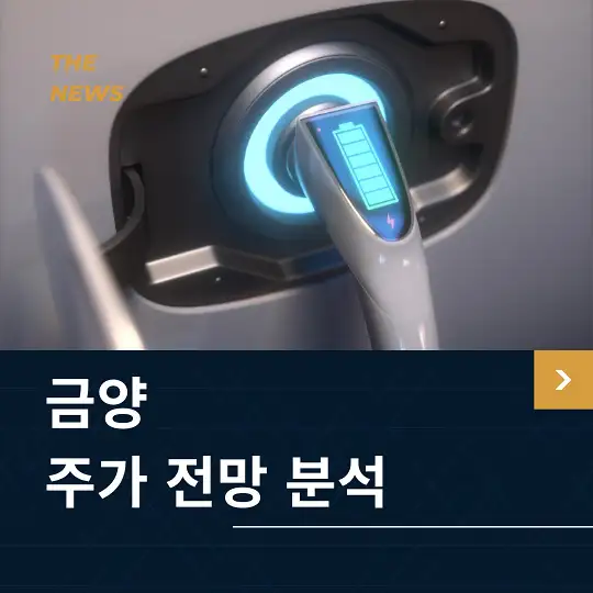 금양 주가 전망 및 분석