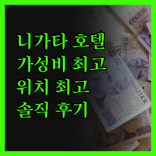 니가타 호텔 어디로? 가성비 & 위치