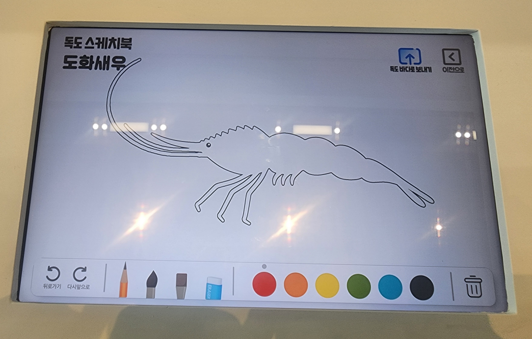 독도 스케치북에서 도화새우를 선택해 색칠을 시작하는 초기 스케치 화면