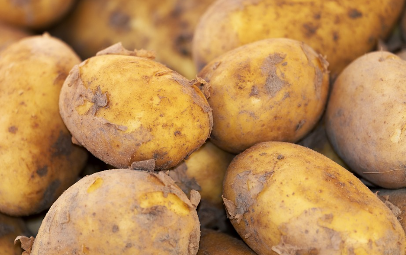 췌장염에 좋은 음식