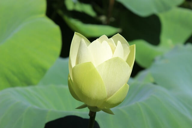 남이섬