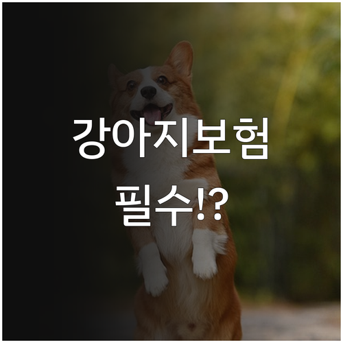 강아지 보험 가입 시기와 노하우..
