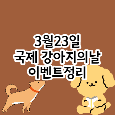 이미지썸네일